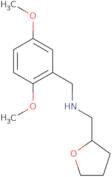 (2,5-Dimethoxy-benzyl)-(tetrahydro-furan-2-yl-methyl)-amine