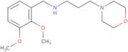 (2,3-Dimethoxy-benzyl)-(3-morpholin-4-yl-propyl)-amine