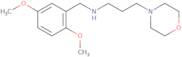 (2,5-Dimethoxy-benzyl)-(3-morpholin-4-yl-propyl)-amine