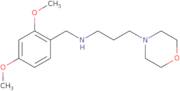 (2,4-Dimethoxy-benzyl)-(3-morpholin-4-yl-propyl)-amine