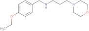 (4-Ethoxy-benzyl)-(3-morpholin-4-yl-propyl)-amine