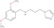 (2,4-Dimethoxy-benzyl)-(3-imidazol-1-yl-propyl)-amine