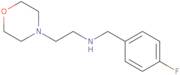 (4-Fluoro-benzyl)-(2-morpholin-4-yl-ethyl)-amine
