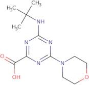 4-tert-Butylamino-6-morpholin-4-yl-[1,3,5]triazine-2-carboxylic acid