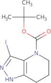 4-Boc-3-iodo-1,5,6,7-tetrahydropyrazolo[4,3-b]pyridine