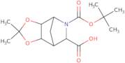 (3aR,4R,6S,7S,7aS)-5-(tert-Butoxycarbonyl)-2,2-dimethylhexahydro-4,7-methano[1,3]dioxolo[4,5-c]pyridine-6-carboxylic acid