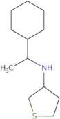 N-(1-Cyclohexylethyl)thiolan-3-amine