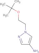 1-(2-tert-Butoxyethyl)-1H-pyrazol-4-amine