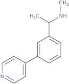 Methyl({1-[3-(pyridin-4-yl)phenyl]ethyl})amine