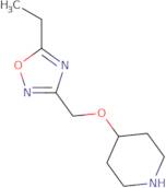 4-[(5-Ethyl-1,2,4-oxadiazol-3-yl)methoxy]piperidine