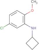 5-Chloro-N-cyclobutyl-2-methoxyaniline