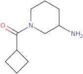 1-Cyclobutanecarbonylpiperidin-3-amine