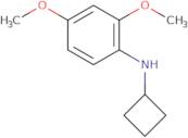 N-Cyclobutyl-2,4-dimethoxyaniline