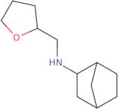 N-(Oxolan-2-ylmethyl)bicyclo[2.2.1]heptan-2-amine