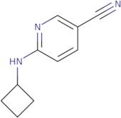 6-(Cyclobutylamino)nicotinonitrile