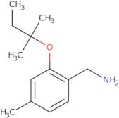 {4-Methyl-2-[(2-methylbutan-2-yl)oxy]phenyl}methanamine