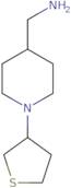 [1-(Thiolan-3-yl)piperidin-4-yl]methanamine