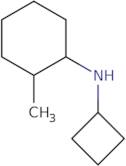 N-Cyclobutyl-2-methylcyclohexan-1-amine