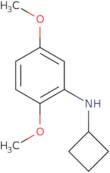 N-Cyclobutyl-2,5-dimethoxyaniline