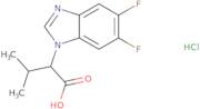 2-(5,6-Difluoro-1H-1,3-benzodiazol-1-yl)-3-methylbutanoic acid hydrochloride