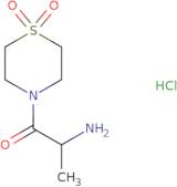 2-amino-1-(1,1-dioxo-1,4-thiazinan-4-yl)propan-1-one;hydrochloride