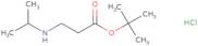 tert-Butyl 3-[(propan-2-yl)amino]propanoate hydrochloride