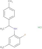 2-Fluoro-5-methyl-N-[1-(4-methylphenyl)ethyl]aniline hydrochloride