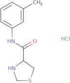 N-(3-Methylphenyl)-1,3-thiazolidine-4-carboxamide hydrochloride