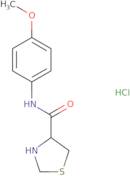 N-(4-Methoxyphenyl)-1,3-thiazolidine-4-carboxamide hydrochloride