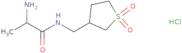 2-Amino-N-[(1,1-dioxo-1λ6-thiolan-3-yl)methyl]propanamide hydrochloride