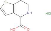 4H,5H,6H,7H-Thieno[3,2-c]pyridine-4-carboxylic acid hydrochloride