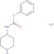 Phenyl N-(piperidin-4-yl)carbamate hydrochloride