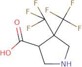 4,4-Bis(trifluoromethyl)pyrrolidine-3-carboxylic acid