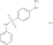 4-Hydrazinyl-N-phenylbenzene-1-sulfonamide hydrochloride