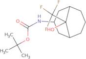 tert-Butyl N-[9-hydroxy-9-(trifluoromethyl)bicyclo[3.3.1]nonan-3-yl]carbamate