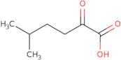 5-Methyl-2-oxohexanoic acid