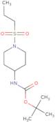 tert-Butyl N-[1-(propane-1-sulfonyl)piperidin-4-yl]carbamate