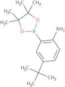 4-tert-Butyl-2-(4,4,5,5-tetramethyl-1,3,2-dioxaborolan-2-yl)aniline