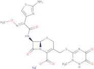 Ceftriaxone sodium hydrate - Bio-X ™