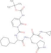 (bS,3S) b-[[(2S)-3-Cyclohexyl- 1- oxo- 2- [3-tert.butyloxycarbonylamino-2-oxo-pyridinyl] propyl]...