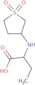 2-[(1,1-Dioxidotetrahydro-3-thienyl)amino]butanoic acid