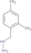 [(2,4-Dimethylphenyl)methyl]hydrazine