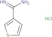 Thiophene-3-carboximidamide hydrochloride