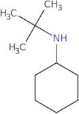 N-tert-Butylcyclohexanamine