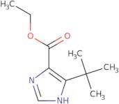 Ethyl 5-tert-butyl-1H-imidazole-4-carboxylate