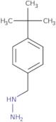 [(4-tert-Butylphenyl)methyl]hydrazine