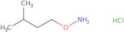 o-Isopentylhydroxylamine hydrochloride