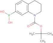 (1-(tert-Butoxycarbonyl)-1,2,3,4-tetrahydroquinolin-7-yl)boronic acid