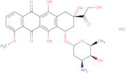 Doxorubicin hydrochloride- Bio-X