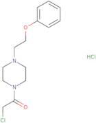2-Chloro-1-[4-(2-phenoxyethyl)piperazin-1-yl]ethan-1-one hydrochloride